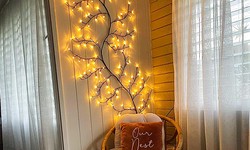 Brighten Your Nights: Embracing the Enchantment of Willow Vine Lights