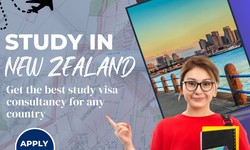 new zealand immigration from india