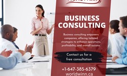 5 Major Reasons to Hire a Professional Business and Marketing Consultant in Mississauga