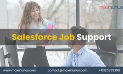 Choosing the Right Salesforce Job Support Provider