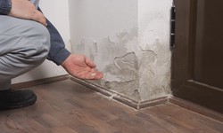 Insurance Claims & Water Damage Restoration: How to Navigate the Process