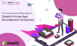 The Comprehensive Advantages of Shopify Private App Development Companies