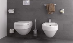 To Bidet or Not to Bidet: Happy Choices or Hasty Decisions?