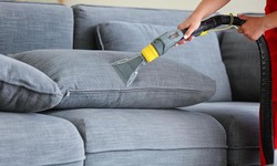 The Art of Carpet Cleaning in Cherrybrook: Unveiling the Expertise of Master Carpet Cleaning