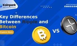 Key Differences Between Ripple and Bitcoin