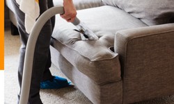 Where Cleanliness and Comfort Converge: Couch Cleaning in Parramatta