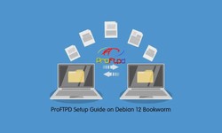 Surely! Here is a guidebook in starting ProFTPD in Debian 12 Bookworm