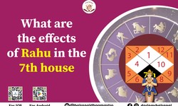 What are the effects of Rahu in the 7th house