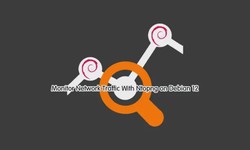 Tips on how to Check Multilevel Site visitors using ntopng in Debian 12