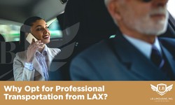 Why Opt for Professional Transportation from LAX?