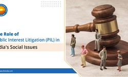The Role of Public Interest Litigation (PIL) in India's Social Issues