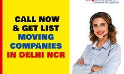 Moving Truck vs Mini Tempo: Insights From Packers and Movers in Delhi