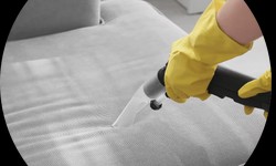 Elevating Upholstery Cleaning Services in Columbia, TN