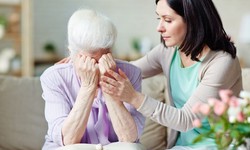 Coping with Grief and Loss: A Guide by a Hawthorn Psychologist