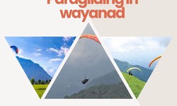 Soaring Romance: Unveiling the Thrills of Paragliding in Wayanad