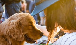 Understanding the Rights of Psychiatric Service Dogs