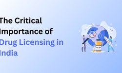 The Critical Importance of Drug Licensing in India