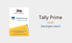 The Value of Tally Prime Gold Renewal Price