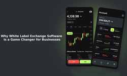 Why White Label Crypto Exchange Software Is a Game Changer for Businesses