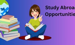 The Impact of Education Consultants in Chennai on Study Abroad Opportunities