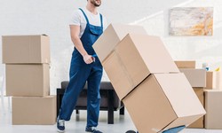 Seamless Relocations: Unlocking Stress-Free Transitions with Wakefield Removals