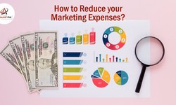 How to reduce your Marketing Expenses in 2024?