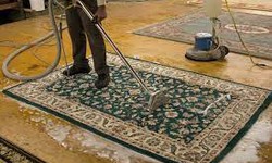 "Revitalize Your Home: The Ultimate Guide to Professional Rug Cleaning"