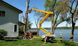 9 Reasons When Tree Removal Services Become Essential