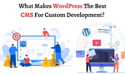 What Makes WordPress The Best CMS For Custom Development?