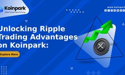 Unlocking Ripple Trading Advantages on Koinpark: