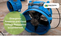 Emergency Response and Flood Damage Restoration in Camberwell