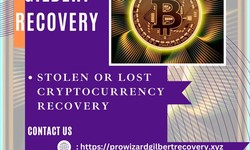 How to Restore Stolen Coins from Crypto Fraud