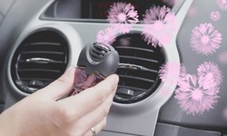 Comprehensive Guide to Choosing the Right Car Air Freshener