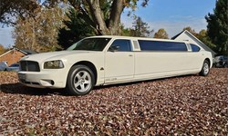 101 Guide for Beginners on Purchasing Your Dream Limo