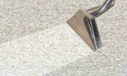 A Step-by-Step Guide to Maintaining Clean Carpets in Armadale