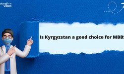 Is Kyrgyzstan a good choice for MBBS?