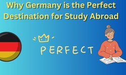 Why Germany is the Perfect Destination for Study Abroad