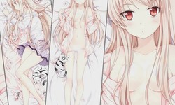 Exploring the Controversial Realm of Hentai Body Pillows: Fantasy, Fetish, or Fad?
