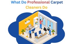 What Do Professional Carpet Cleaners Do