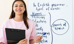 Exploring Differences between French and English for Effective Translation