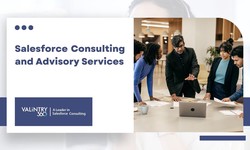 Salesforce Advisory Services - VALiNTRY360