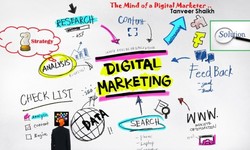 Noida's Premier Digital Marketing Agencies