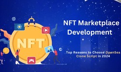 NFT Marketplace Development - Top Reasons to Choose OpenSea Clone Script in 2024