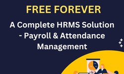 Unlocking HR Potential: Exploring the Realm of Free HRMS Software