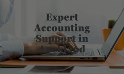 Auckland's Flexible Accounting Assistance Services