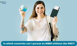 In which countries can I pursue an MBBS without the NEET?