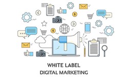 Exploring White Label Digital Marketing Agencies