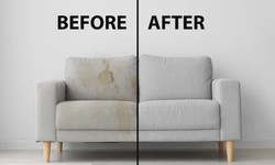 The Science of Upholstery Care: Couch Cleaning Essentials
