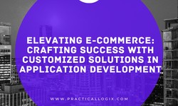 Elevating E-commerce: Crafting Success with Customized Solutions in Application Development