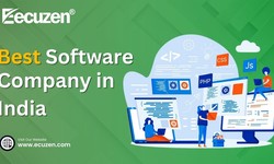 The Best Software Company In India